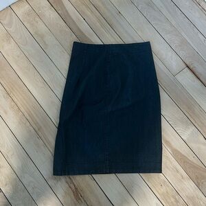 Prairie Under Ground skirt